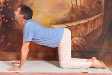 Marjariasana 1-Macskapóz 1